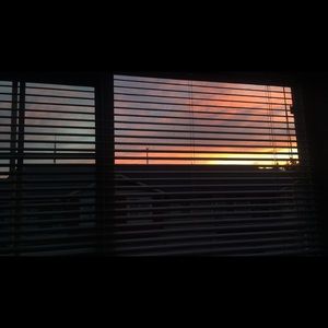 Meet your Posher, Bonnie